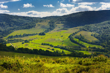 Similar image 12592938