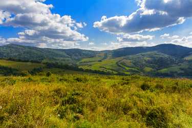 Similar image 12592939