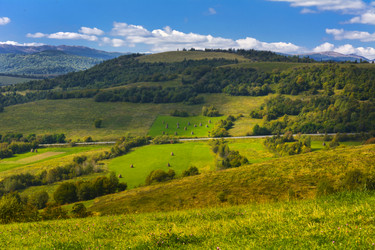 Similar image 12592961