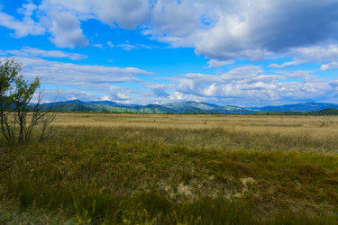 Similar image 12580414