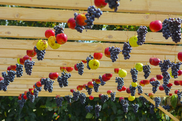 Similar image 12580391