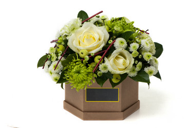 Similar image 12597765