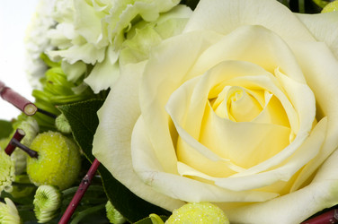 Similar image 12597646