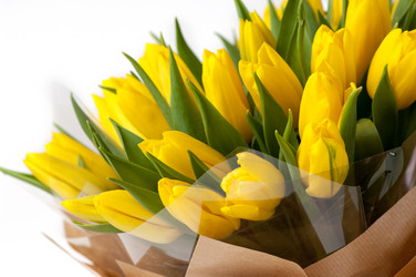 Similar image 12597726