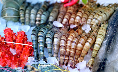 Similar image 12687359