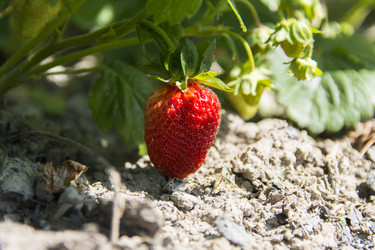 Similar image 12580415