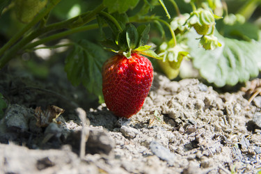 Similar image 12580417