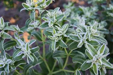 Similar image 12580418