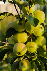 Similar image 12580419