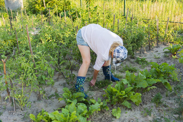 Similar image 12580420