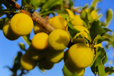 Similar image 12580421