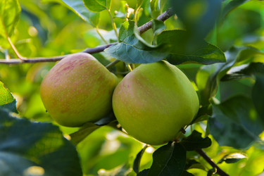 Similar image 12580422