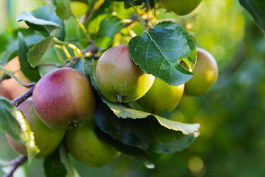 Similar image 12580433