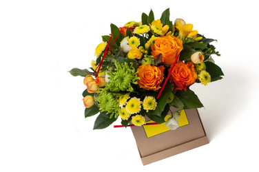 Similar image 12597508