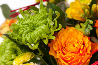 Similar image 12597511