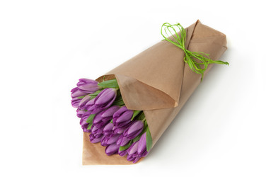 Similar image 12597526