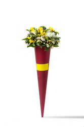 Similar image 12597529