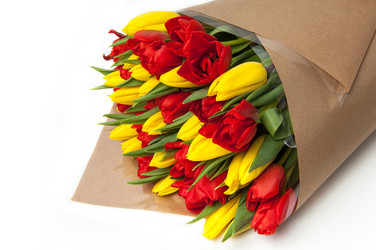 Similar image 12597546