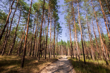 Similar image 12594193