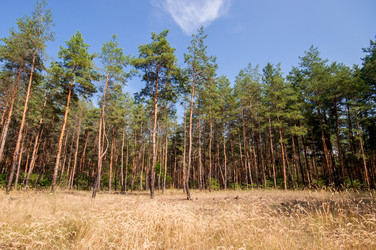 Similar image 12594201