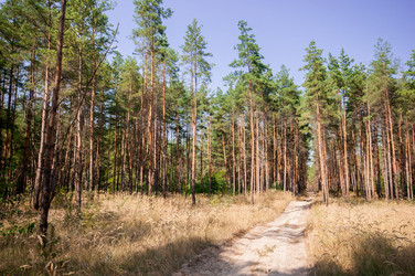 Similar image 12594194