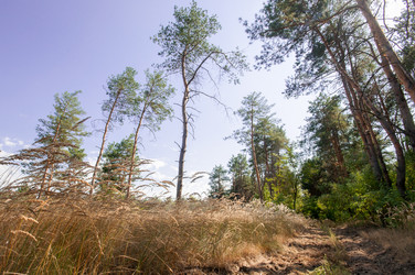 Similar image 12594195