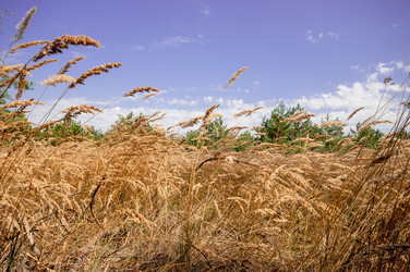 Similar image 12594196