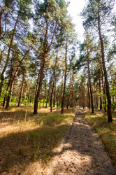 Similar image 12594197