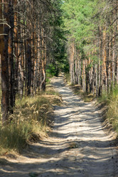 Similar image 12594198