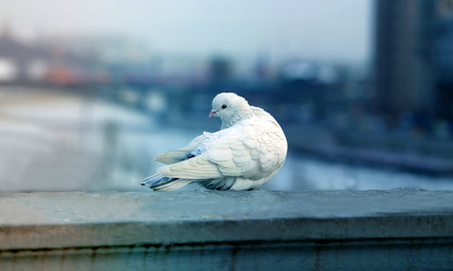 Similar image 12687378