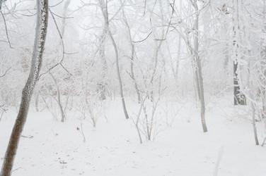 Similar image 12596838