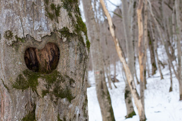 Similar image 12687543