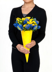 Similar image 12597512