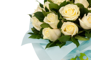 Similar image 12597534