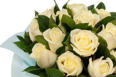 Similar image 12597536