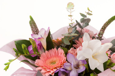 Similar image 12597579