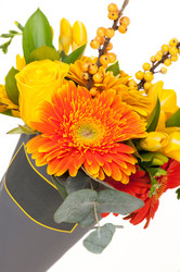 Similar image 12597594