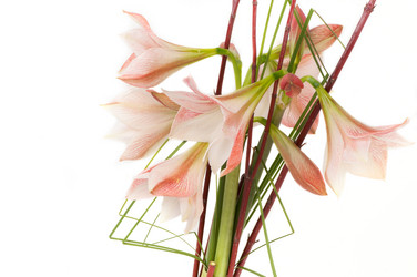 Similar image 12597598