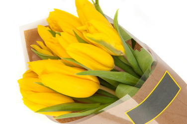 Similar image 12597614