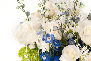 Similar image 12597621