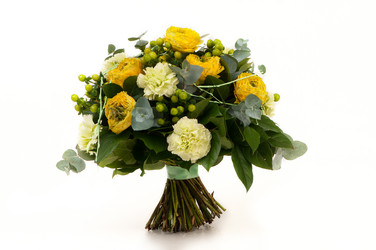 Similar image 12597647