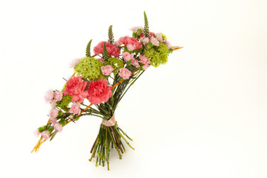 Similar image 12597654