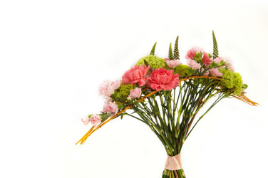 Similar image 12597666