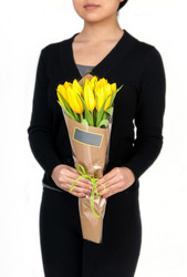 Similar image 12597676