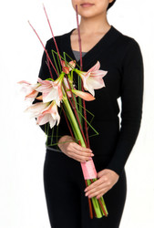 Similar image 12597692