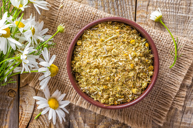 Similar image 12681205