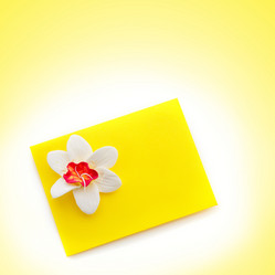 Similar image 12582147