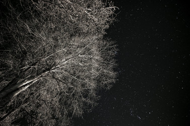 Similar image 12490020