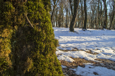 Similar image 12490045