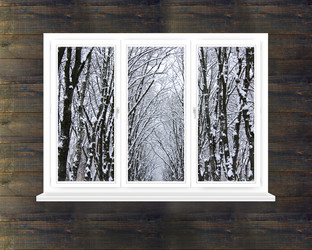 Similar image 12580548